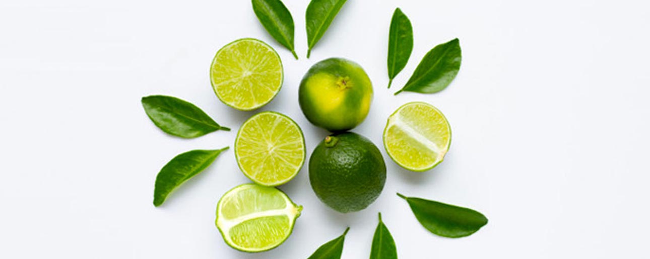 Iranian Lemon, The Differences Between Two Popular Type Of Lemon